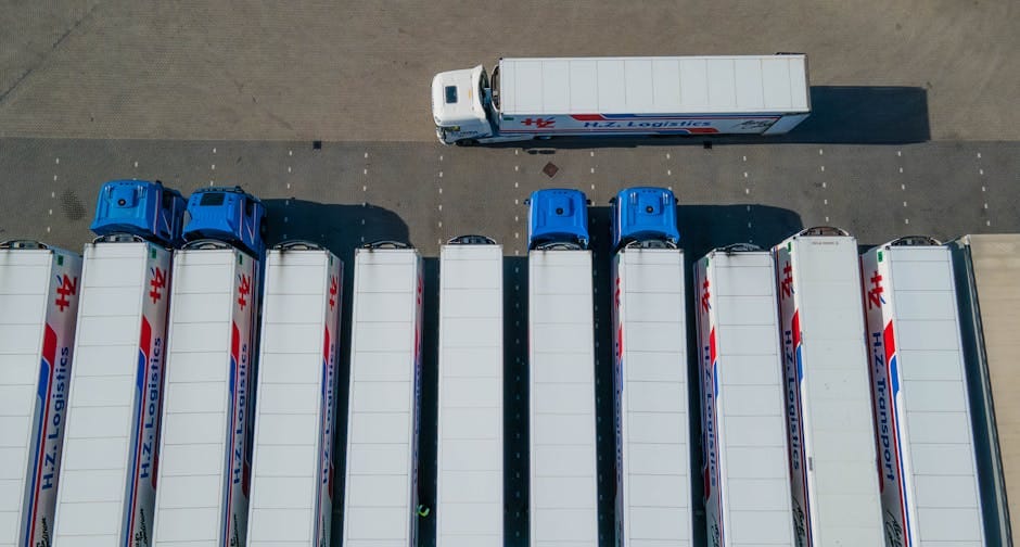 Nowoczesna flota pojazdów ciężarowych przygotowana do transportu międzynarodowego